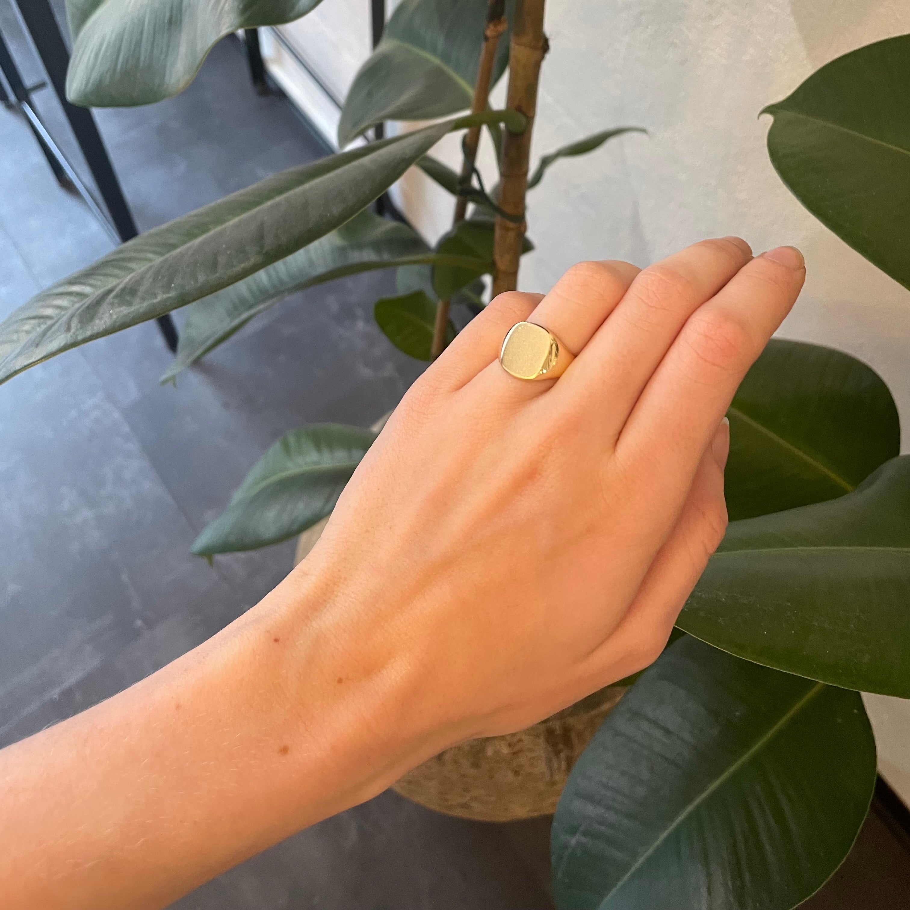 Signet Ring i 14 kt. guld